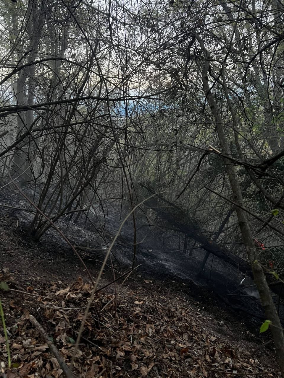 Area bruciata dopo lo spegnimento parziale dell'incendio
